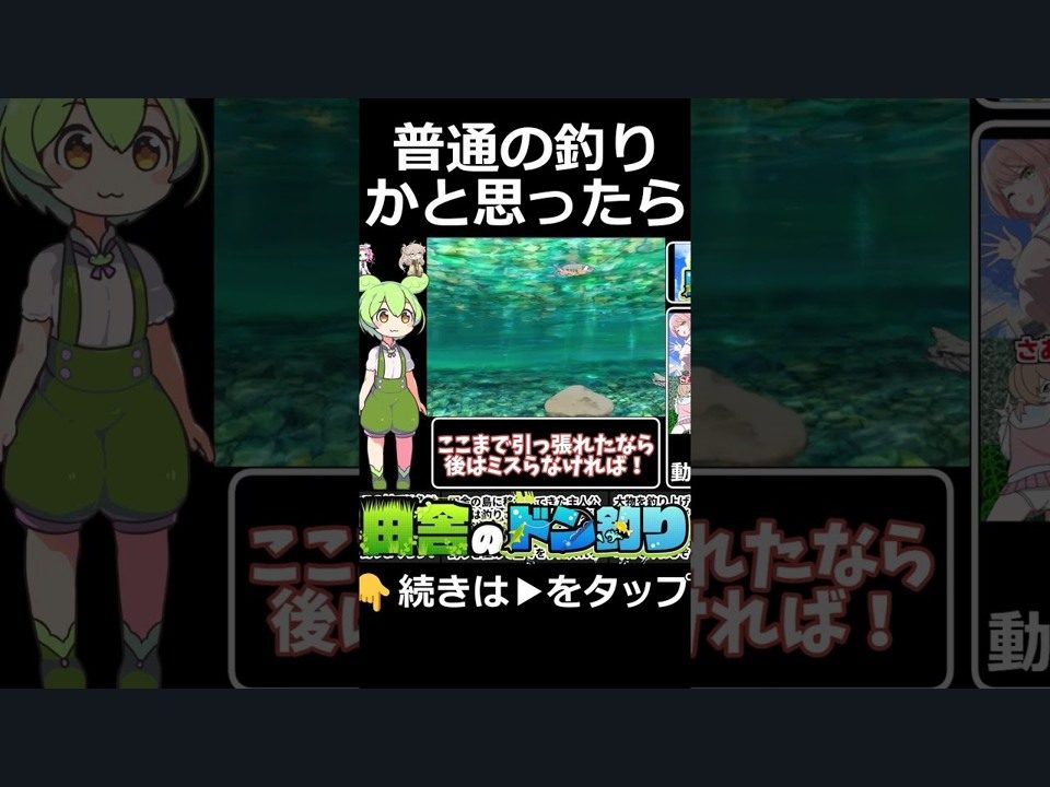 乡下钓钝吻鲑乡村垂钓版 攻略要点 资料图 7